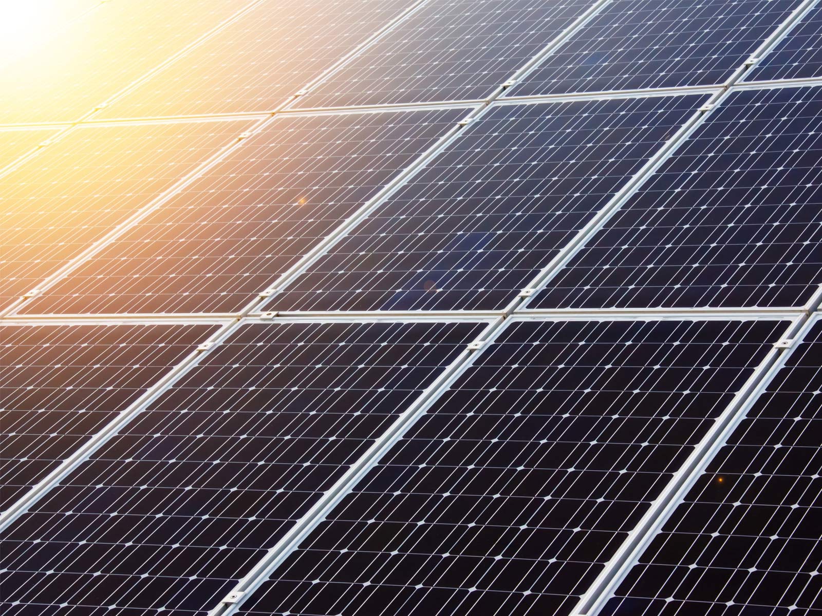 Auf dem Bild zum Beitrag über den Einstieg von Dreßler Bau bei SUNOVATION sind mehrere Solarplatten abgebildet.