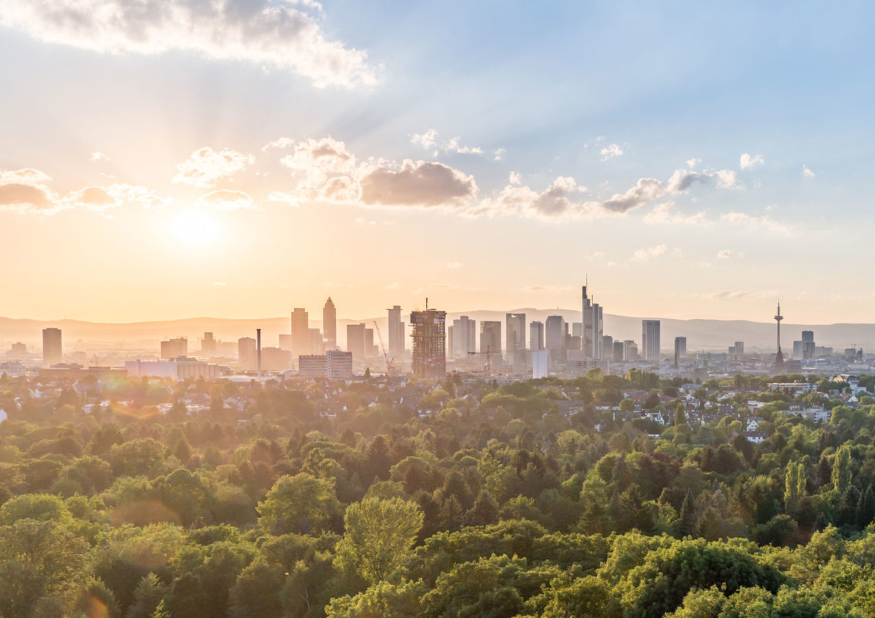 Städteentwicklung in der Metropolregion FrankfurtRheinMain