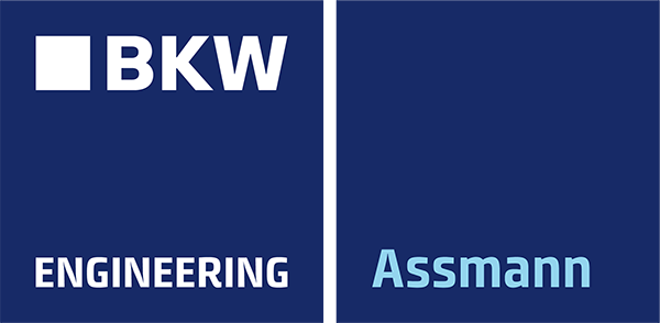 Logo Assmann beraten + planen