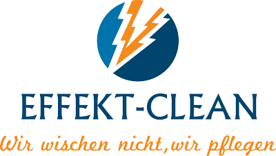 Logo Effekt-Clean