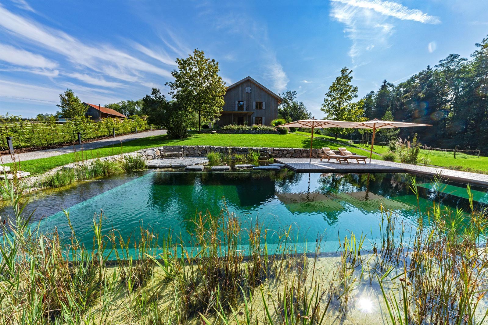 Ein Garten, der von den Nico Weber Garten- und Landschaftsbauern gestaltet wurde