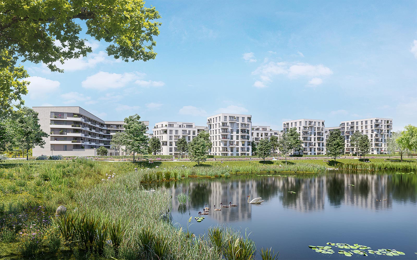 Visualisierung des Neubaus am Albertussee der PANDION AG in Düsseldorf